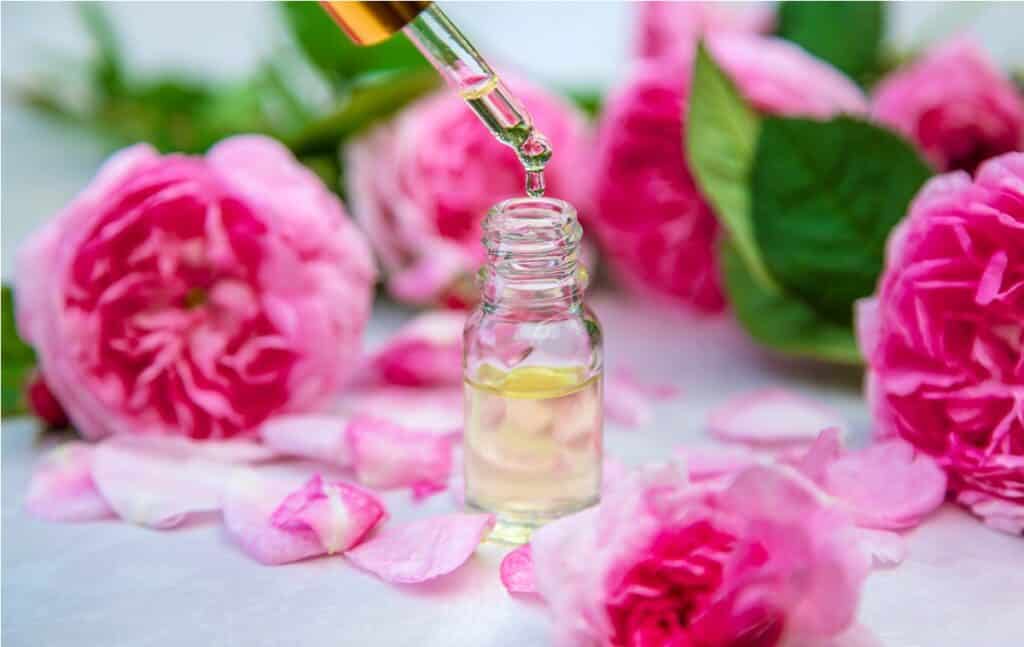 rose essential oil in a bottle. selective focus. spa.