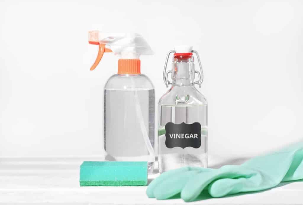 white vinegar for home cleaning chores natural ho 2023 11 27 04 51 42 utc