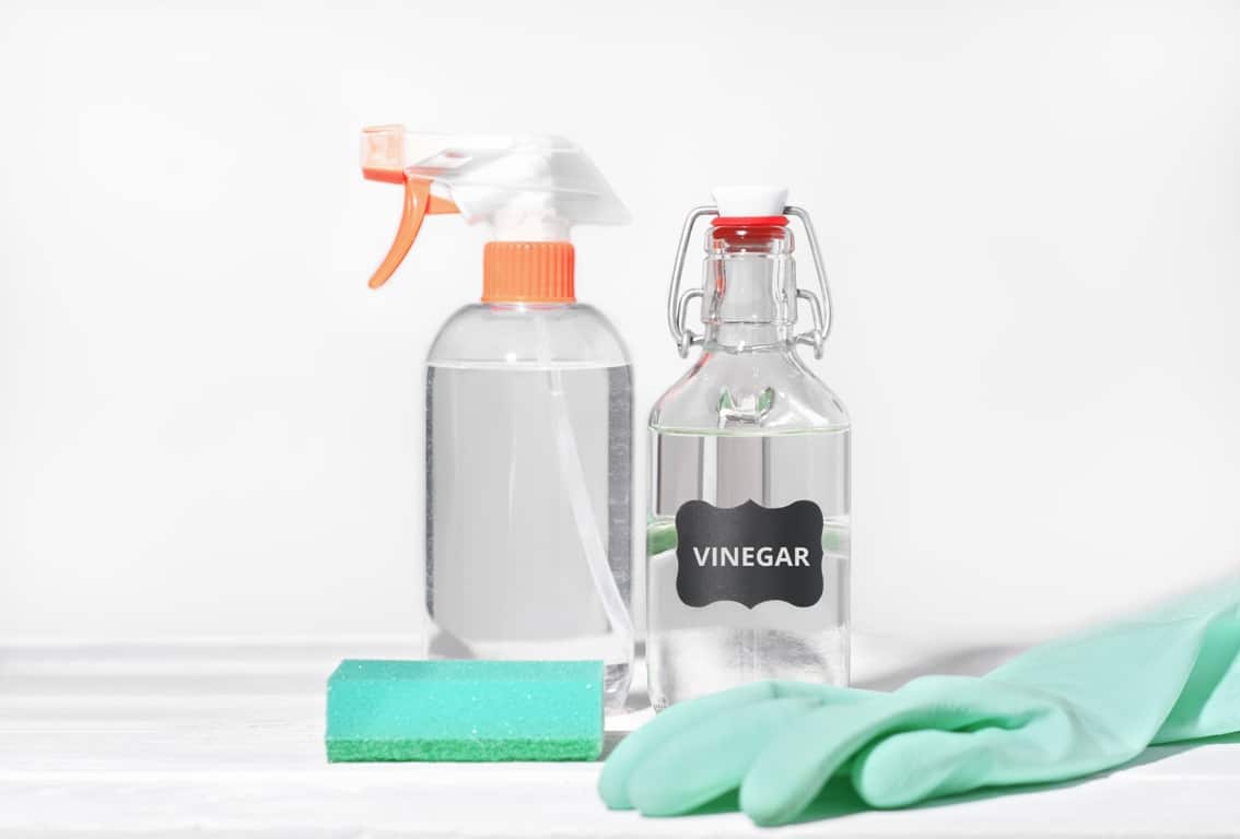 white vinegar for home cleaning chores natural ho 2023 11 27 04 51 42 utc