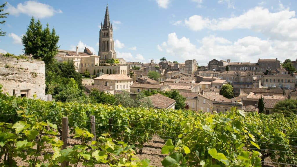 vignoble bordelais