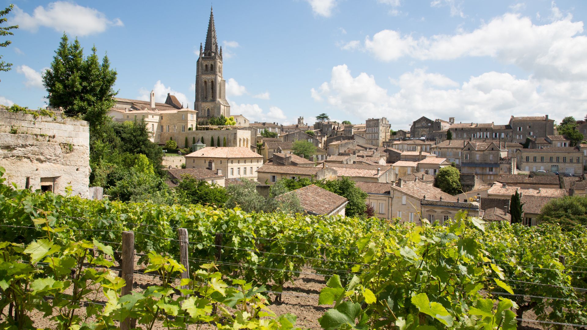 vignoble bordelais
