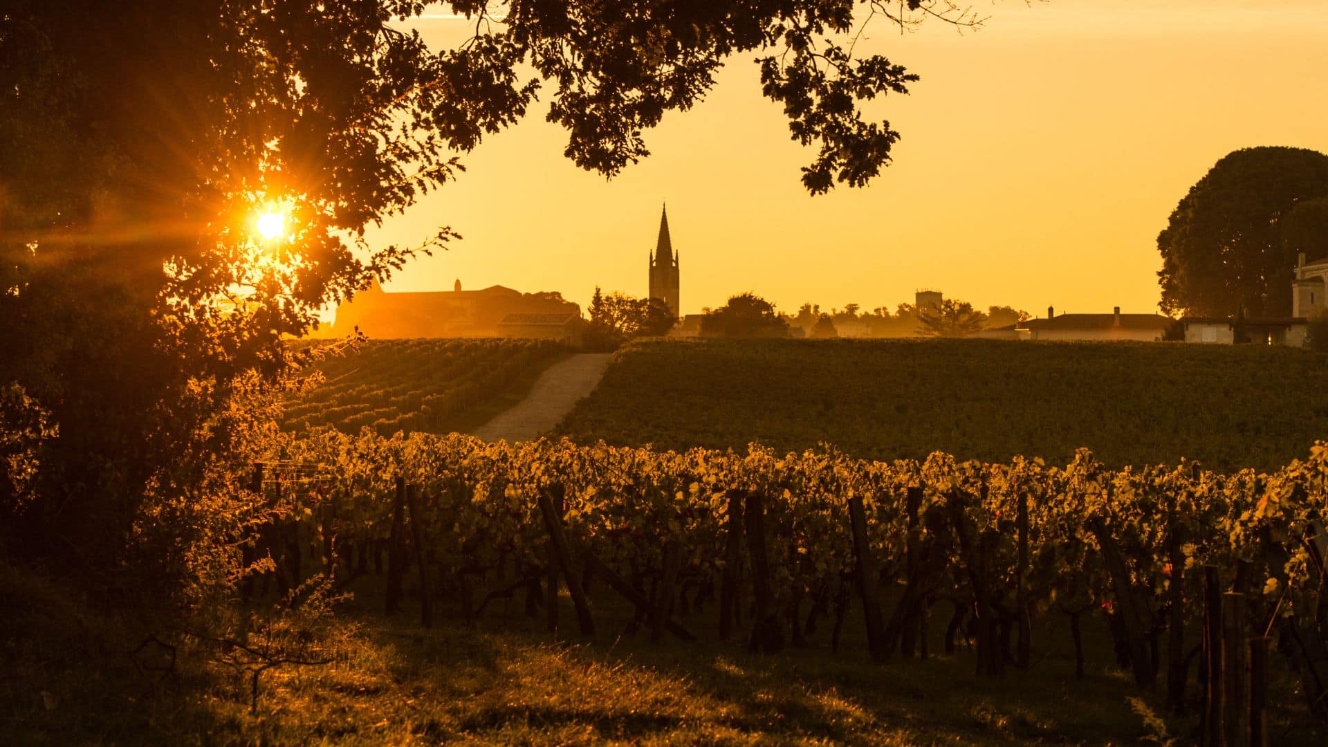 colère en gironde
