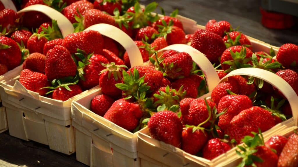 Paniers de fraises rouges fraîches.
