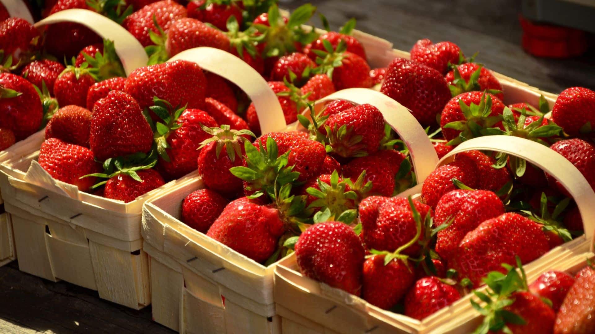 Paniers de fraises rouges fraîches.