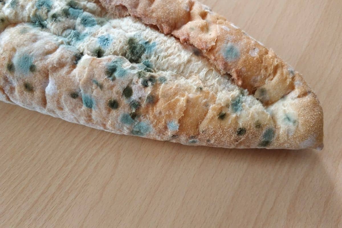 Baguette avec moisissure sur une table.