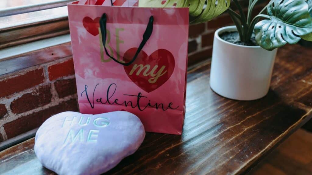 Sac cadeau et coussin Saint-Valentin