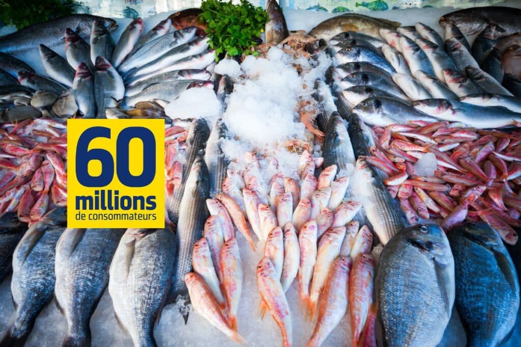 Poissons frais présentés sur glace au marché.