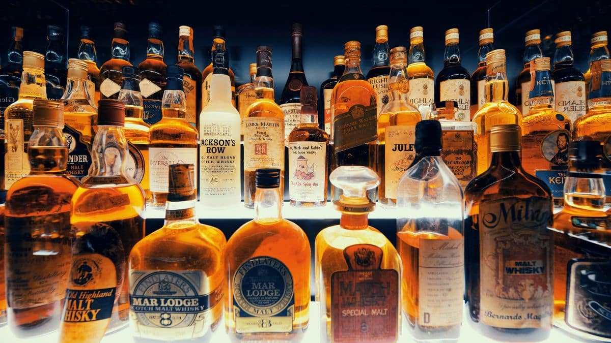 Bouteilles de whisky variées sur une étagère éclairée.