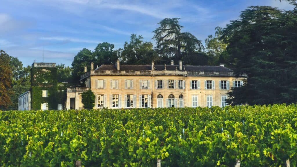 Château entouré de vignes verdoyantes.