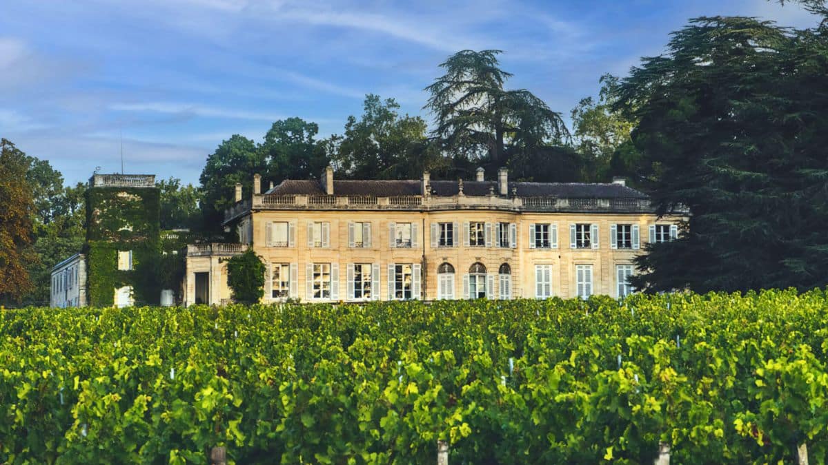 Château entouré de vignes verdoyantes.