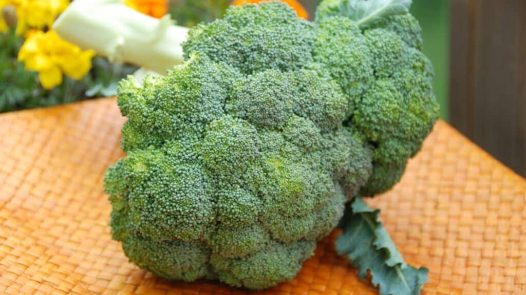 Brocoli frais sur plateau en bois.