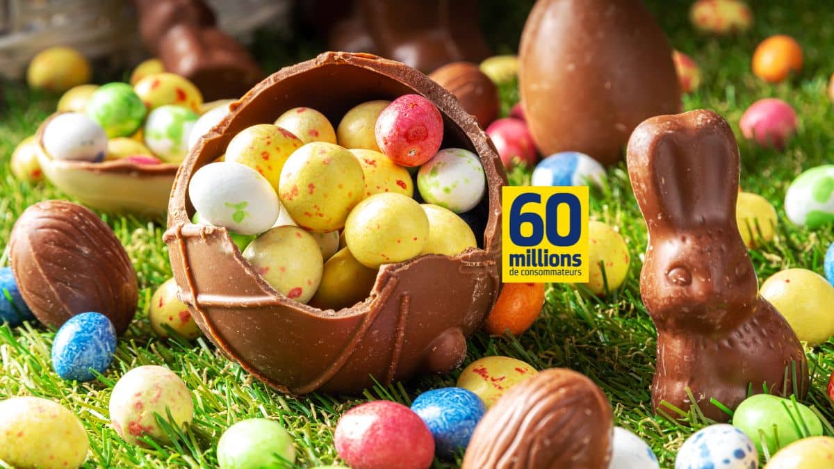 Œufs et lapins en chocolat sur herbe.