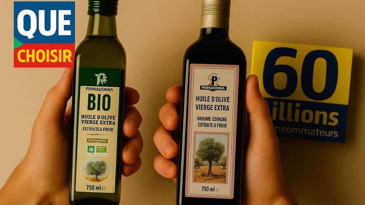 Deux huiles d'olive Primadonna comparées côte à côte.