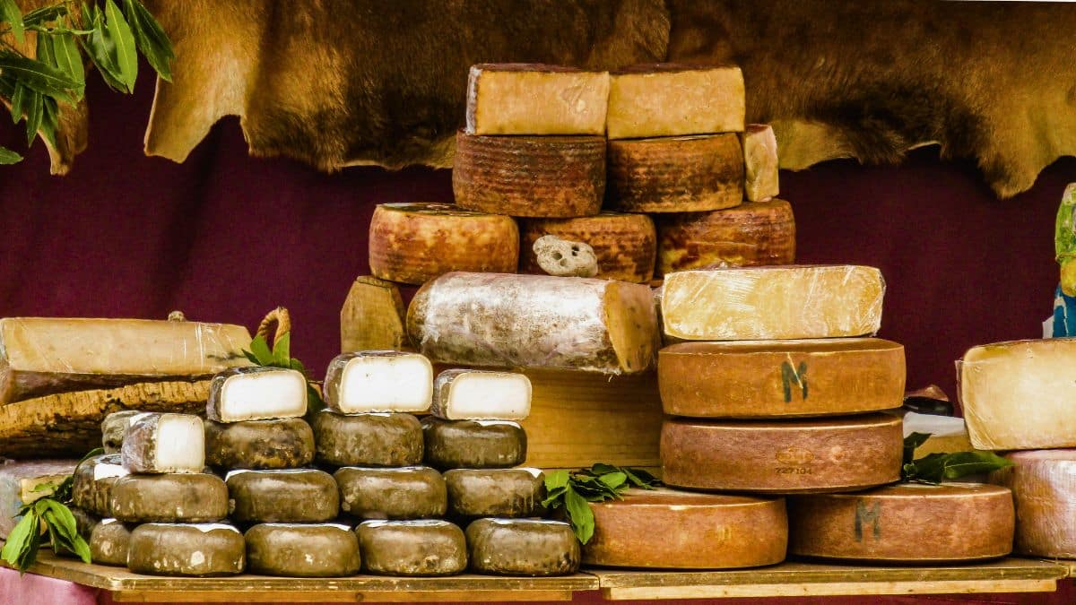 Assortiment de fromages sur table