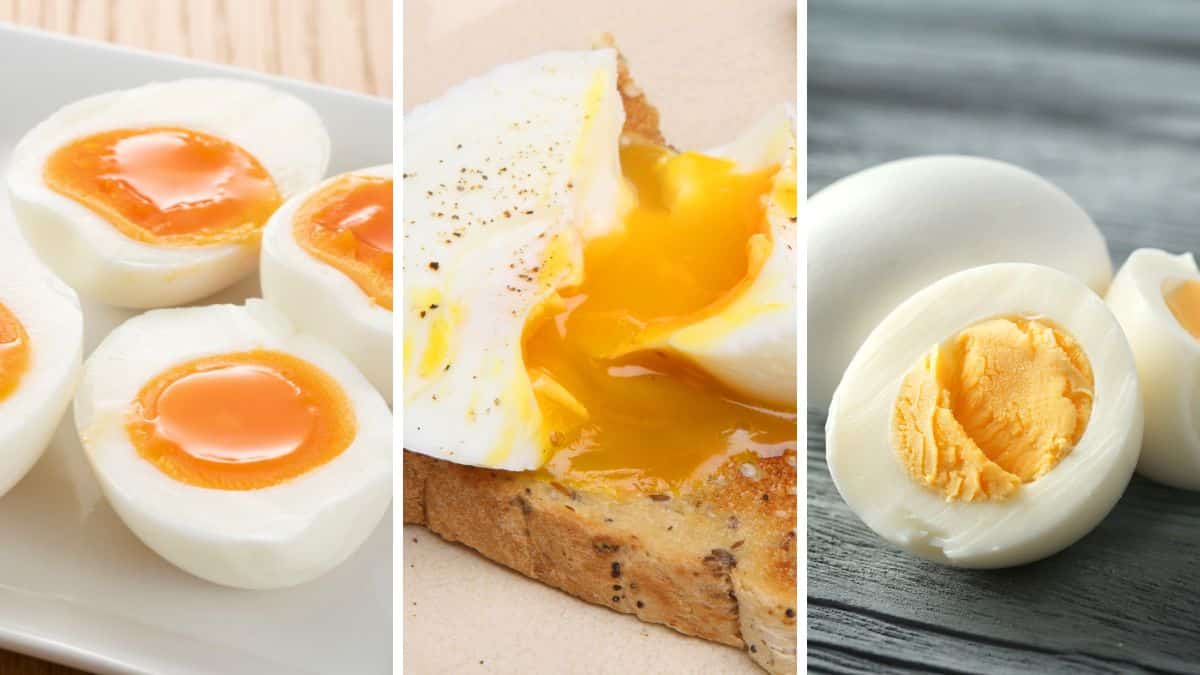 Différents types d'œufs cuits : mollets, pochés, durs.