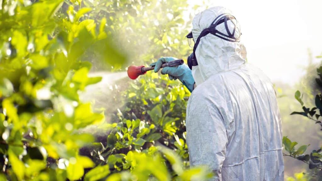 Agriculteur pulvérisant pesticides sur plantes.