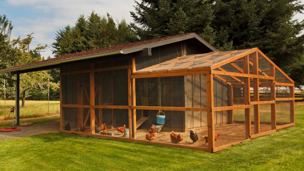 Poulailler en bois avec des poules dans un jardin.