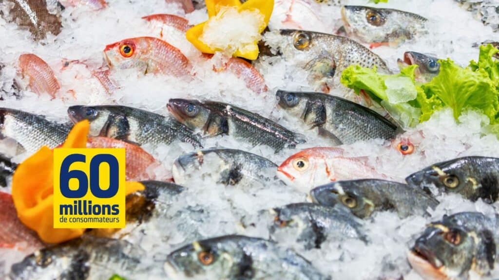 Poissons sur glace avec logo 60 millions consommateurs.