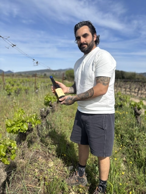 Homme tenant une bouteille dans un vignoble ensoleillé.