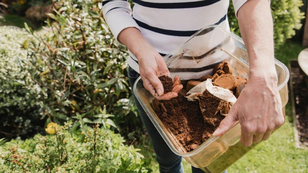 Jardinage avec compost naturel en extérieur.