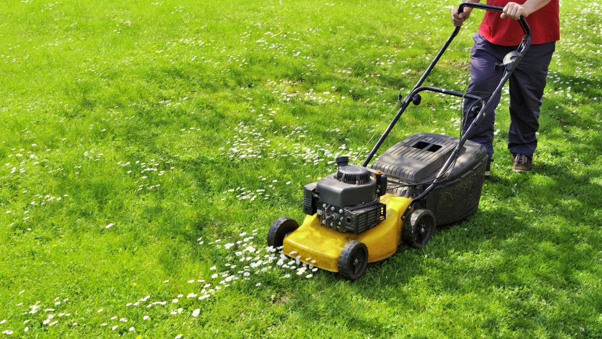 Personne tondant la pelouse avec une tondeuse jaune.
