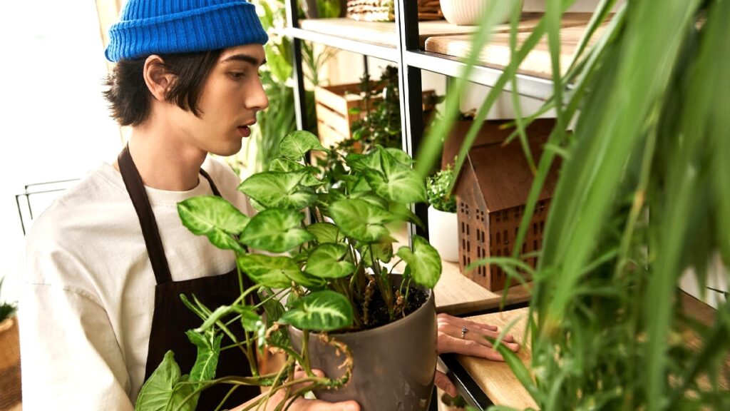 Personne arrosant plante verte en intérieur cosy.