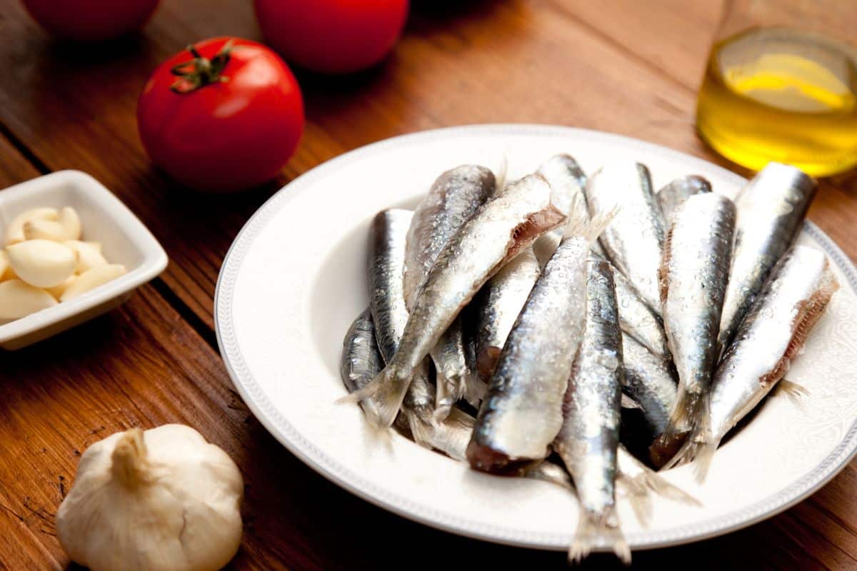Assiette de sardines avec ail et tomates.