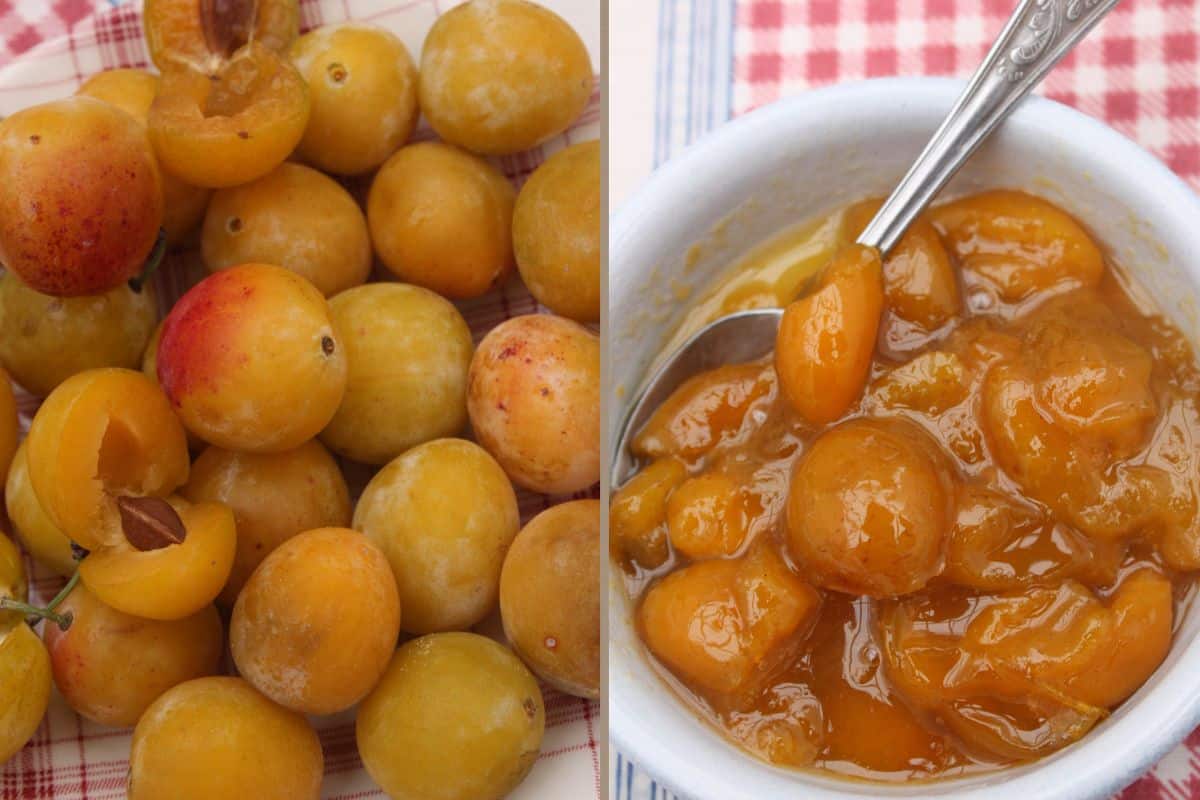 Reines-claudes fraîches et confiture là.