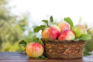 Panier de pommes rouge et vert sur table bois.