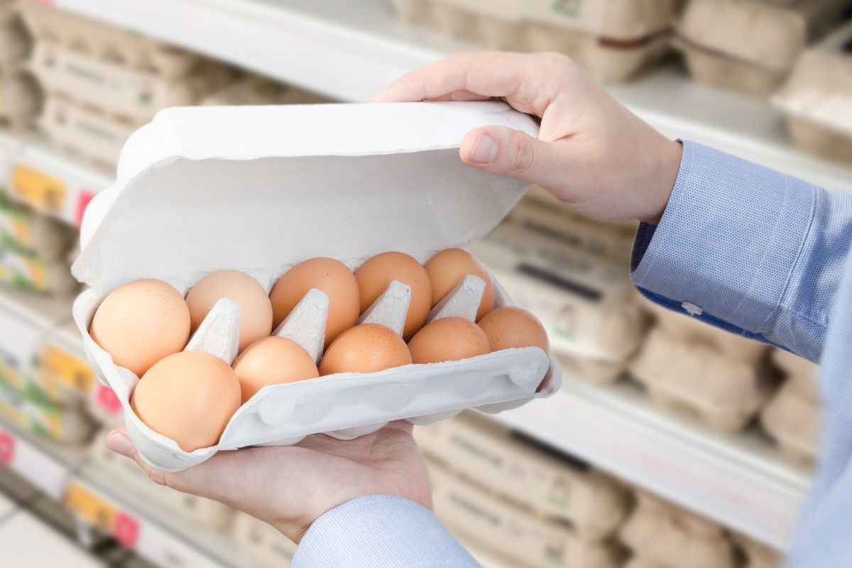 Carton d'œufs tenu en main au supermarché.