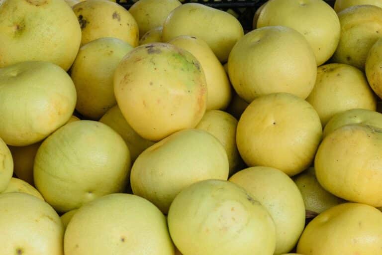 Pamplemousses jaunes empilés ensemble prêts à vendre.