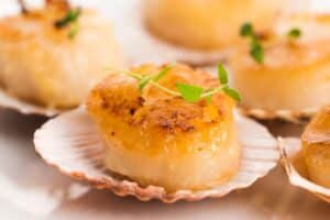 Coquilles Saint-Jacques grillées avec herbes fraîches.