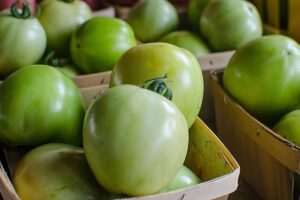 Tomates vertes dans des paniers en bois.