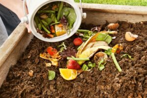 Déchets organiques versés dans un bac de compost.