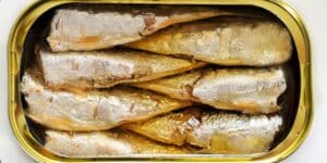 Pourquoi les boîtes de sardines pourraient-elles bien disparaître de nos rayons de supermarchés ?