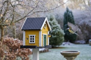 À partir de cette date, il faut absolument arrêter de nourrir les oiseaux en hiver