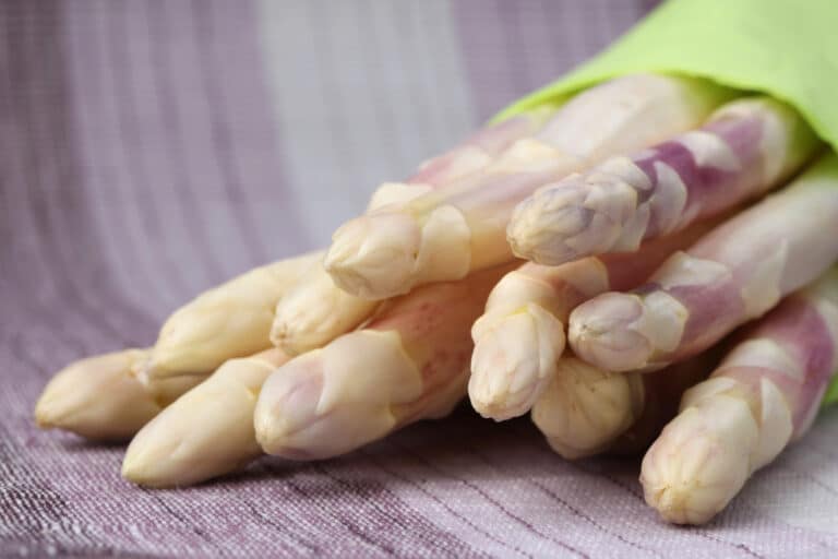 depositphotos 7460409 l