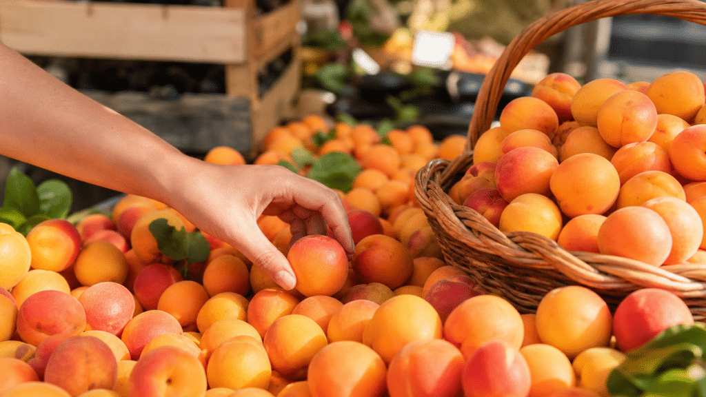 Abricots de différentes couleurs sur un étal de marché avec une main qui vérifie leur maturité au toucher