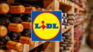 lidl foire au vins